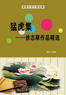 郊游旅游老师必备