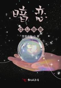 中国旅游签证美国