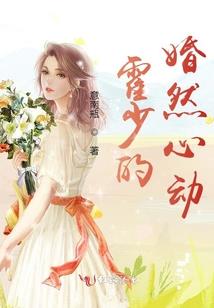 旅游区用树枝支撑岩石